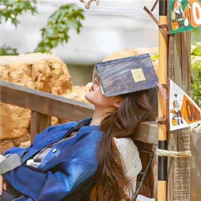 我家的女仆太烦人了！OVA